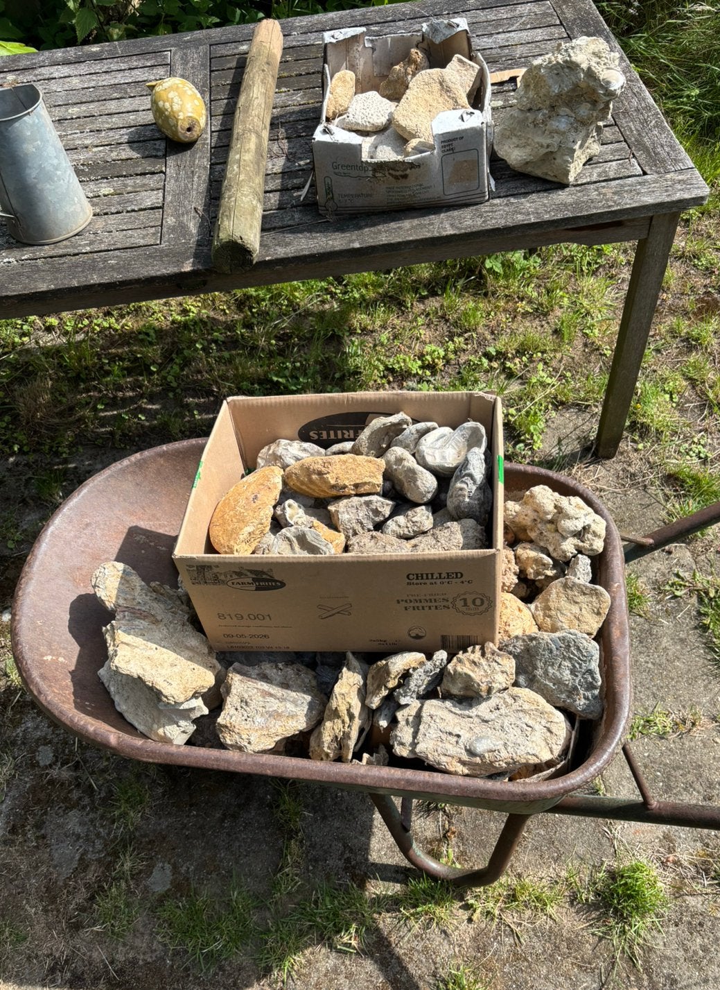 Fossielen en mineralen verzameling, Verzamelen, Ophalen, Fossiel