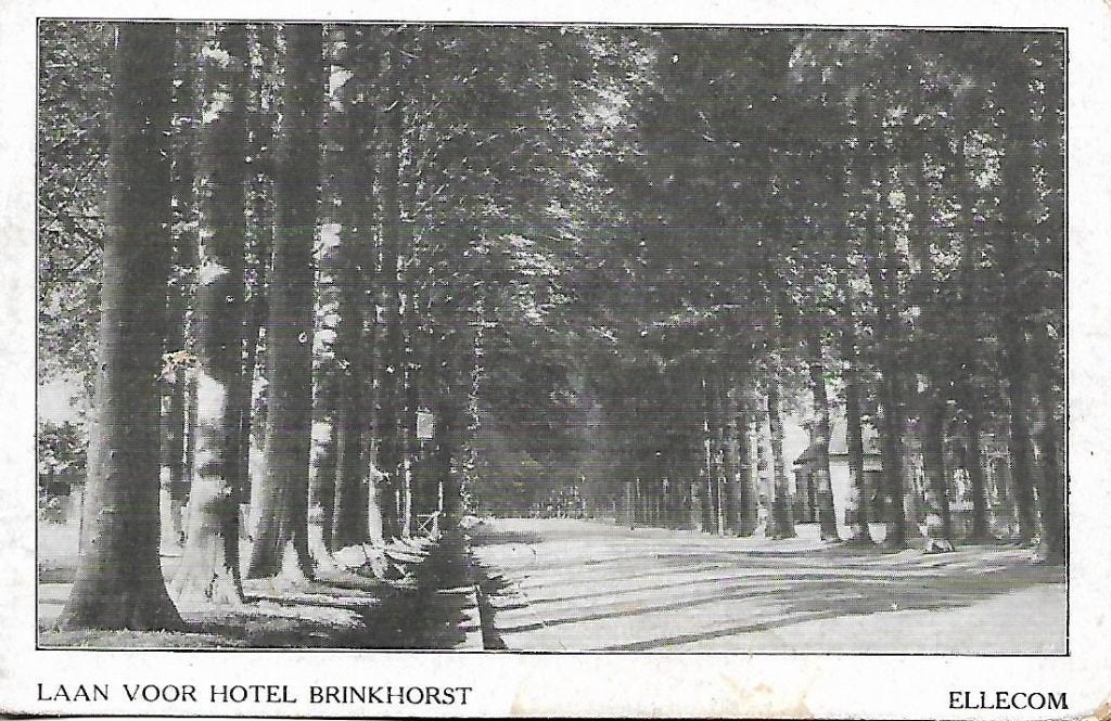 Ellecom- -Laan voor Hotel Brinkhorst., Verzamelen, Verzenden, 1940 tot 1960, Gelopen, Gelderland