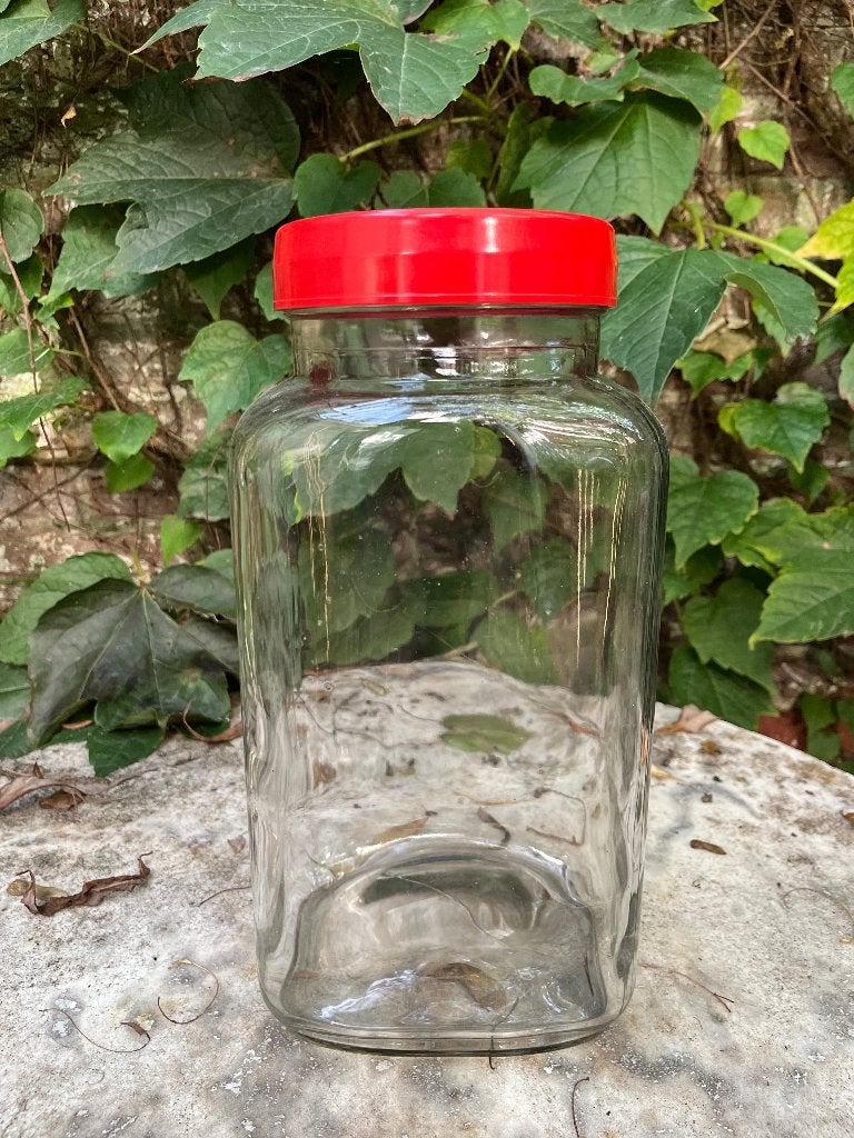 Grote glazen voorraadpot, Ophalen, Zo goed als nieuw, Modern, Glas