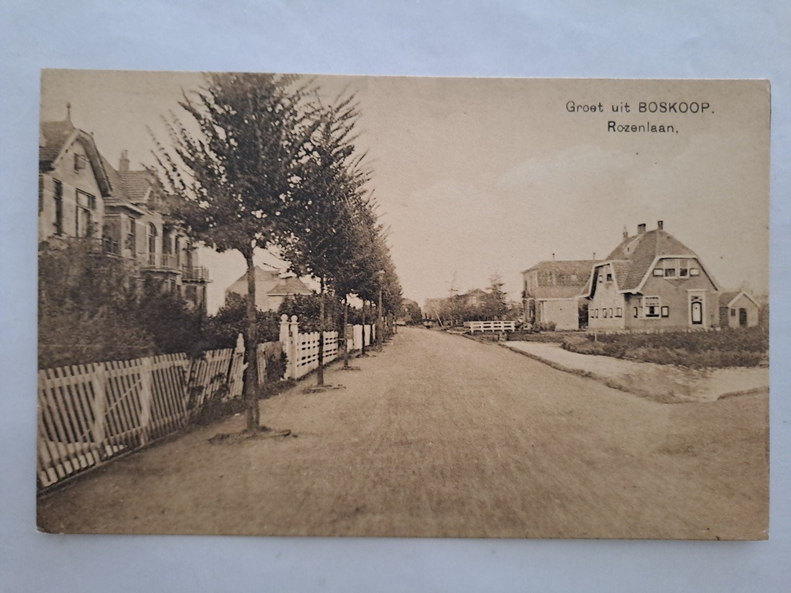 Boskoop, Ophalen of Verzenden