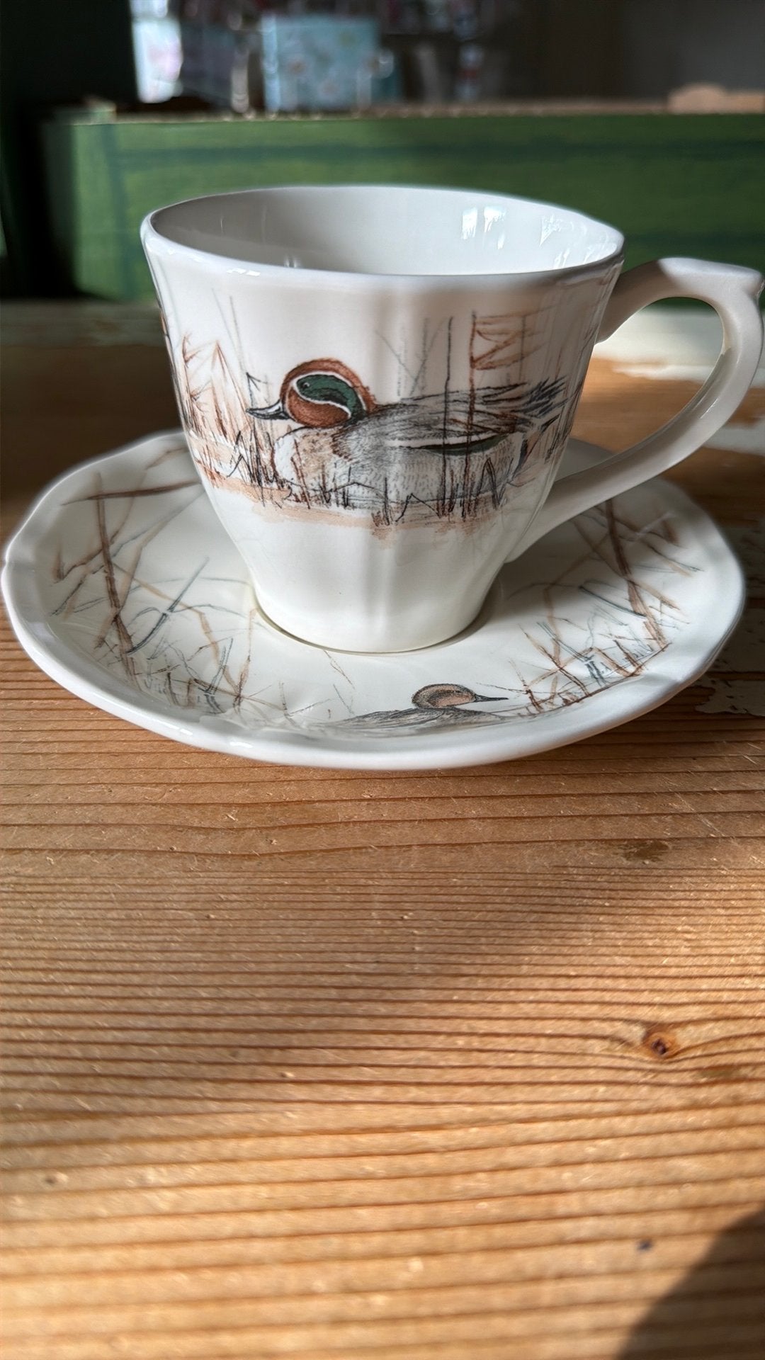 Gien SOLOGNE koffiekop en schotel