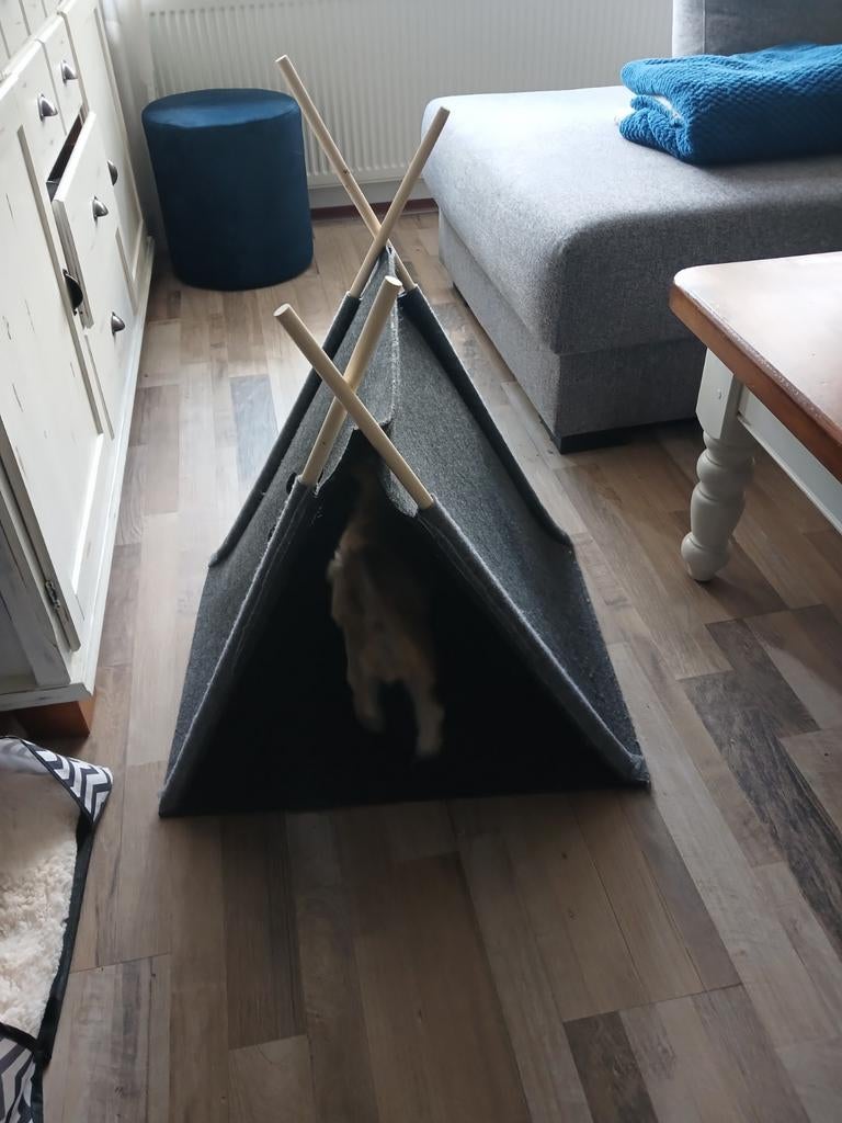 Tent voor kleine hond, Dieren en Toebehoren, Ophalen, Zo goed als nieuw