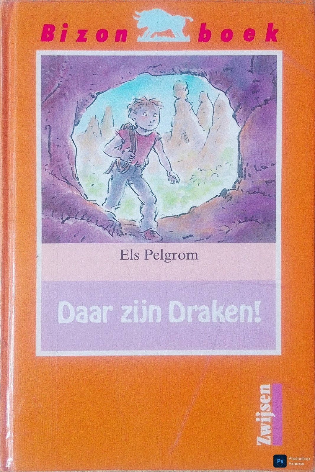 Daar Zijn Draken!, Boeken, Gelezen, Fictie algemeen, Ophalen of Verzenden, Els Pelgrom.