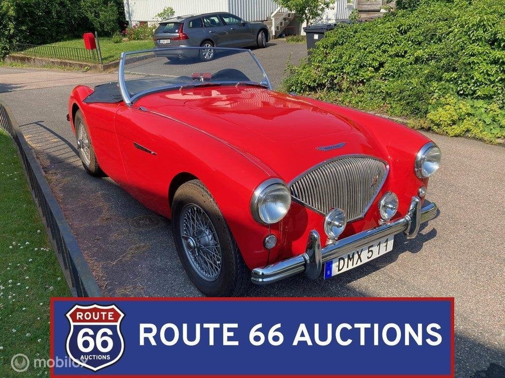 Austin-Healey 100 | 1954 | Route 66 Auctions, Auto's, Austin, Overige carrosserieën, Zwart, Bedrijf