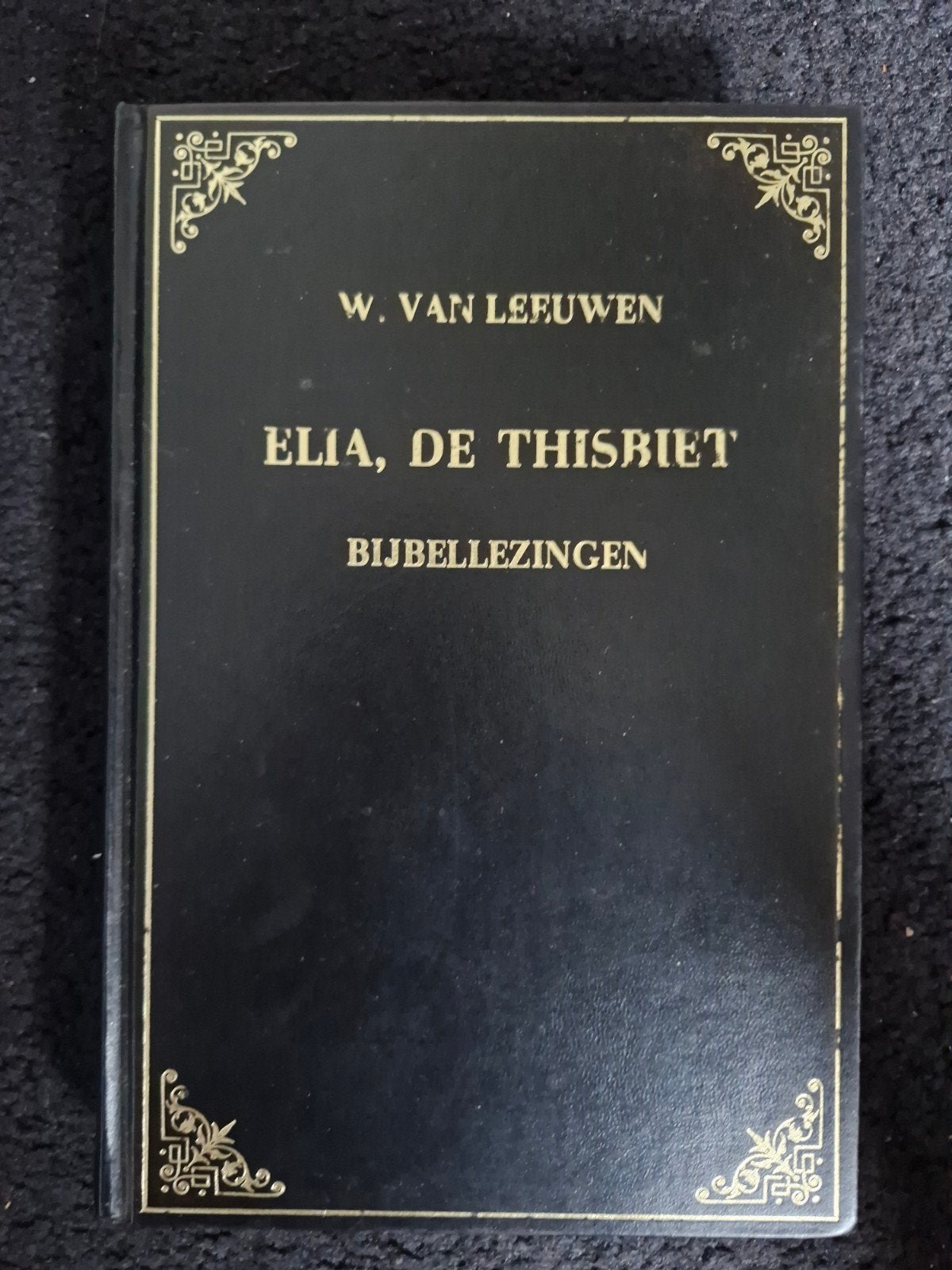 Elia, de Thisbiet - Bijbellezingen door W. van Leeuwen, Boeken, Ophalen of Verzenden, Zo goed als nieuw, W. van Leeuwen, Christendom | Protestants