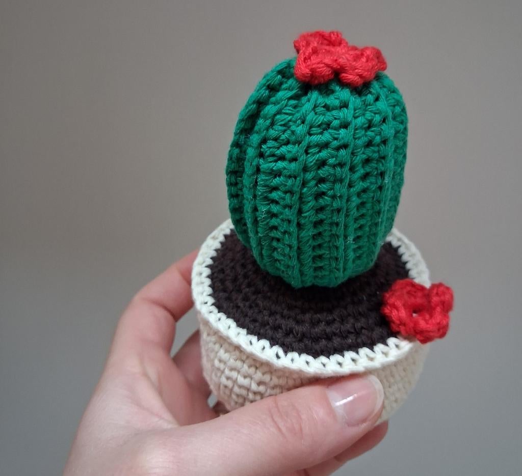 Gehaakte cactus nieuw, Ophalen of Verzenden, Nieuw, Haken, Overige typen