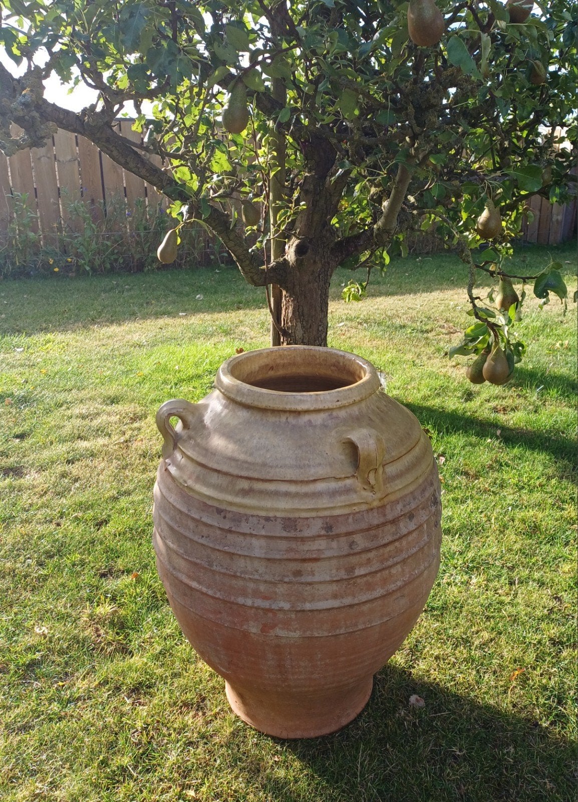 Grote Oude Terracotta Olijfkruik Vaas Ringpot voor  € 95, Ophalen, Gebruikt