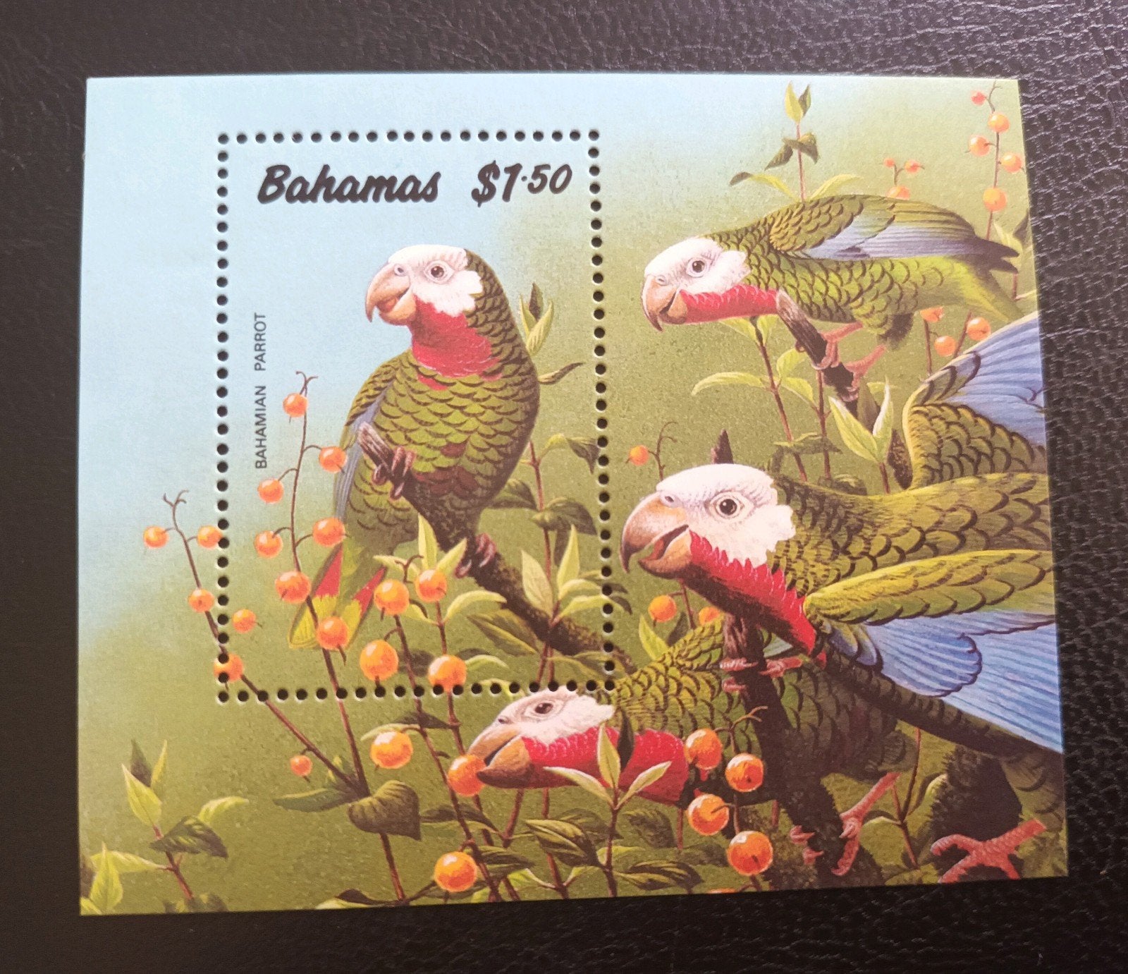 Bahamas block Bahamian Parrot MNH, Verzenden, Postfris