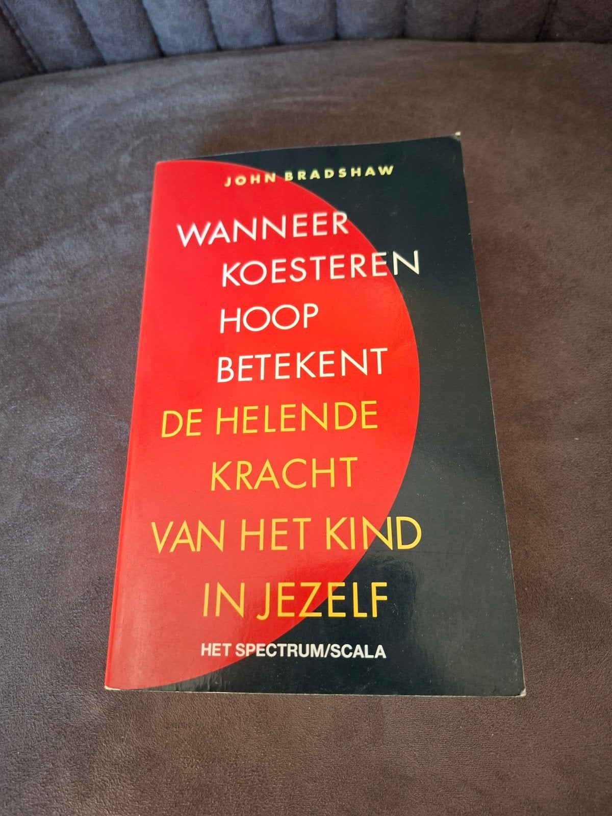 Wanneer Koesteren Hoop Betekent - John Bradshaw, Boeken, Ophalen of Verzenden, Gelezen, Klinische psychologie, John Bradshaw