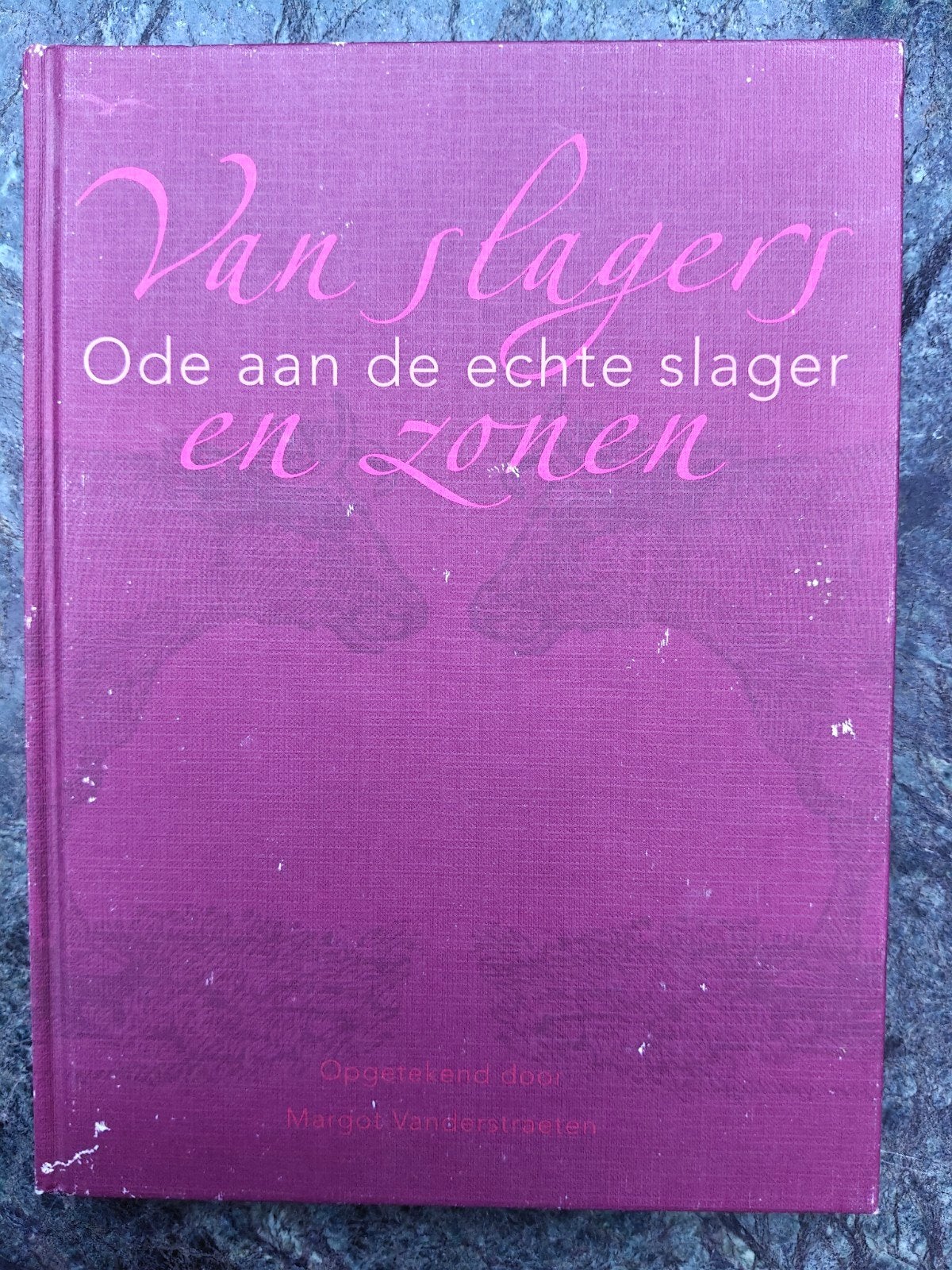 Van Slagers en Zonen - Margot Vanderstraeten (2009), Ophalen of Verzenden, 20e eeuw of later, Gelezen