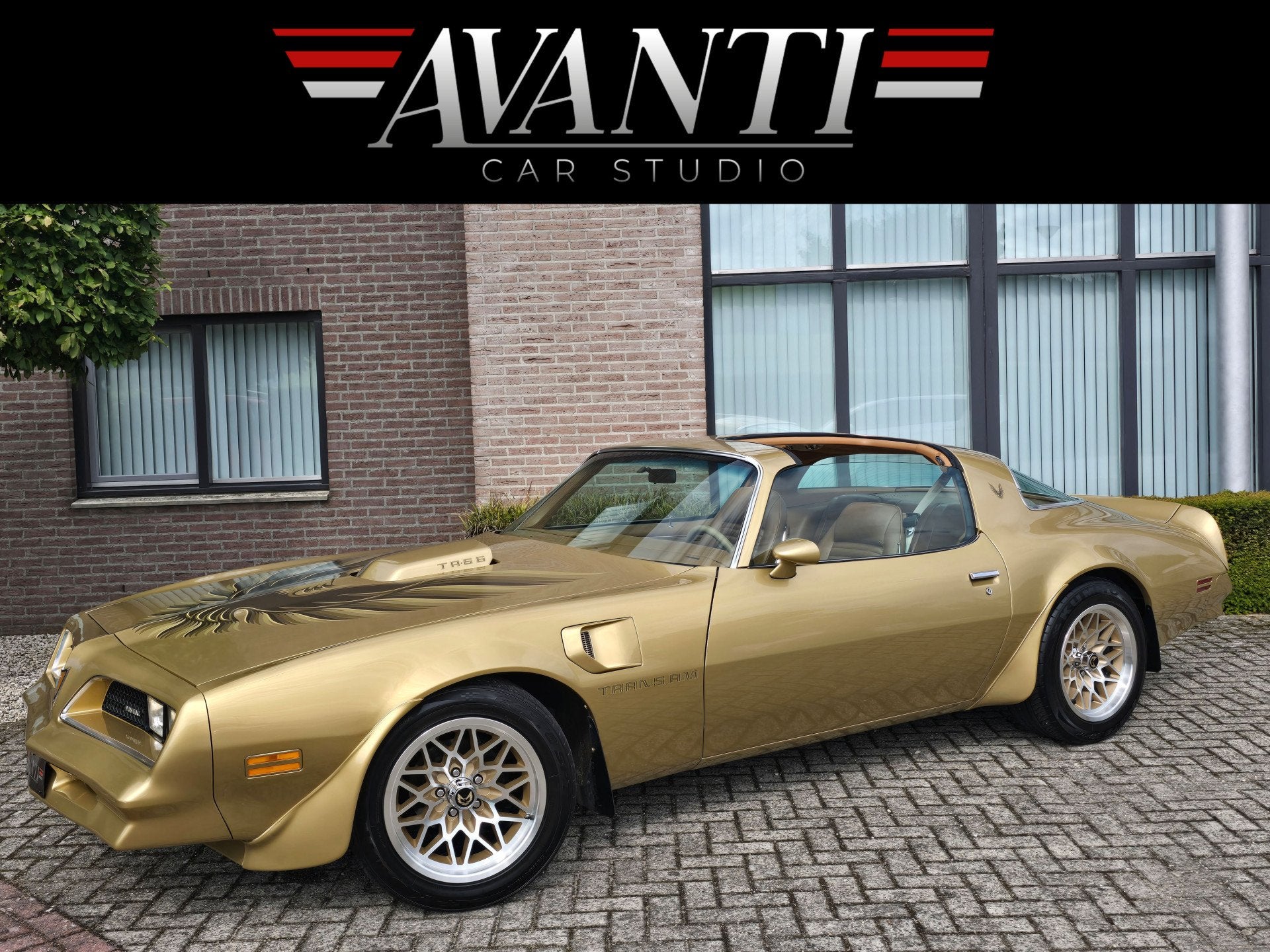 Pontiac Firebird Trans Am 6.6 FW 87 Y88 GOLD SPECIAL EDITION, Automaat, Achterwielaandrijving, 6600 cc, Pontiac