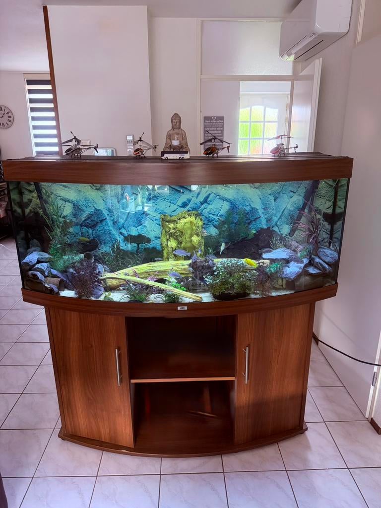 Juwel vision 450 met zijn gebogen voorruit !, Ophalen of Verzenden, Zo goed als nieuw, Leeg aquarium