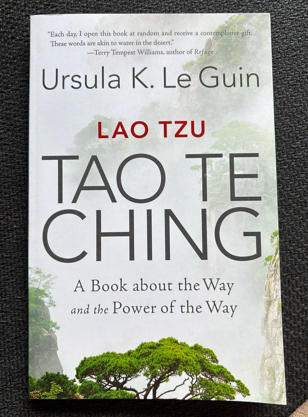 Tao te ching, Ursula K Le Guin, book about the Way and power, Ophalen of Verzenden, Gelezen