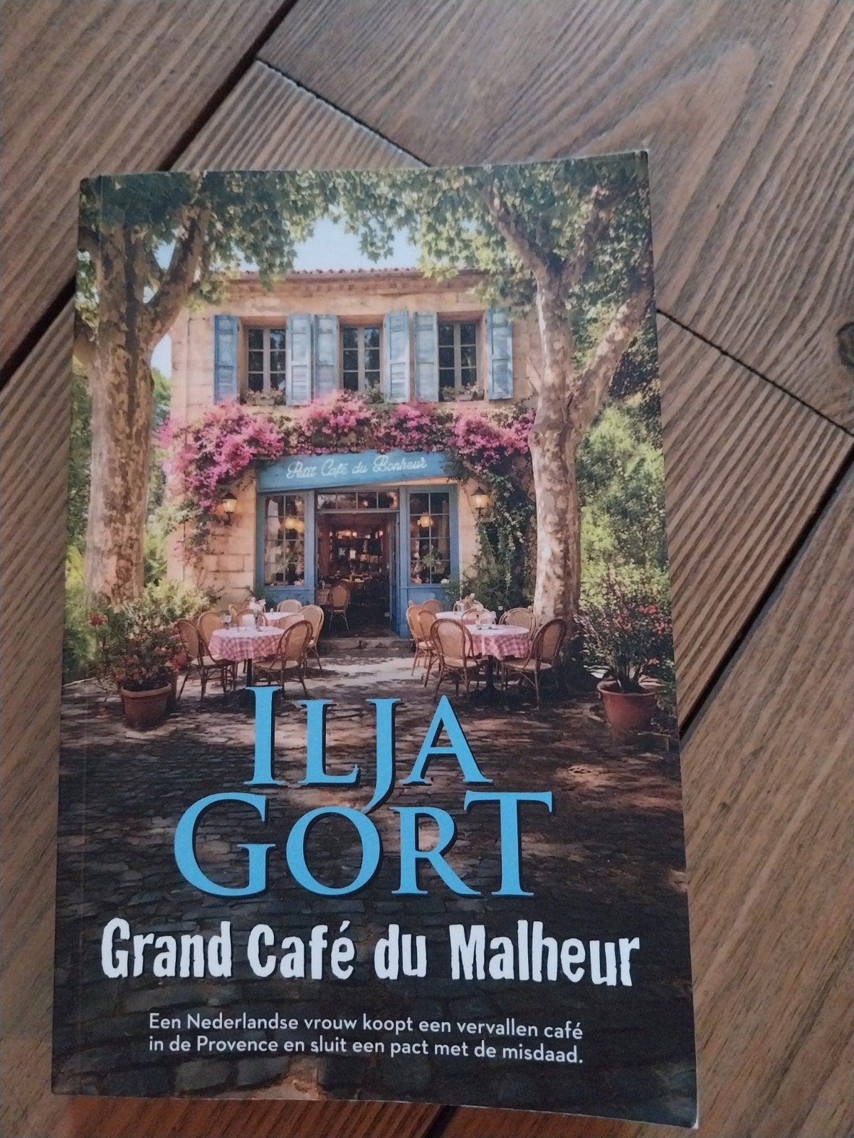 Grand Café du Malheur - Ilja Gort, Gelezen, Ophalen of Verzenden, Nederland, Ilja Gort