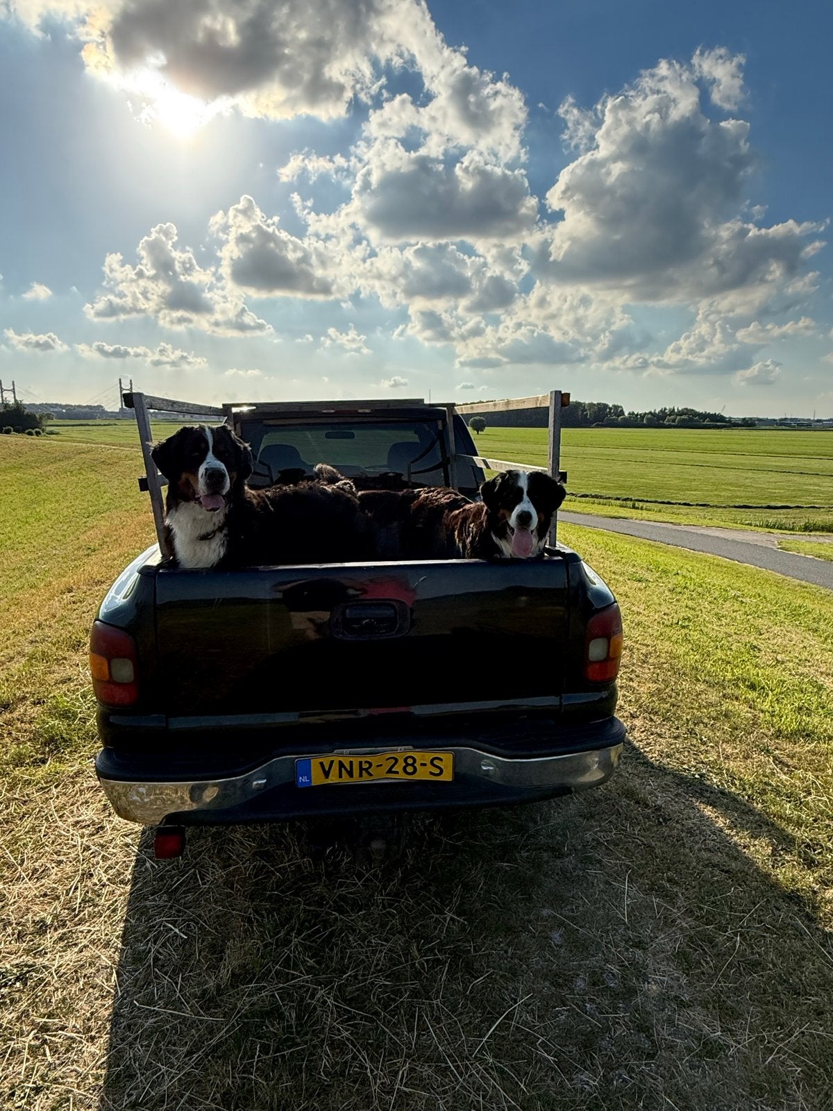 🇺🇸 Make pickups great again! Chevrolet C1500 Silverado V8, Chevrolet, 2080 kg, Zwart, 273 pk