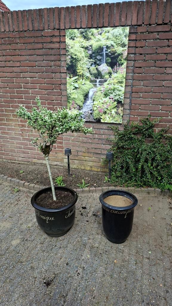 Set Plantenpotten. Bruin. Incl plant, Tuin en Terras, Bloempotten, Ophalen, Gebruikt, Rond, Minder dan 40 cm