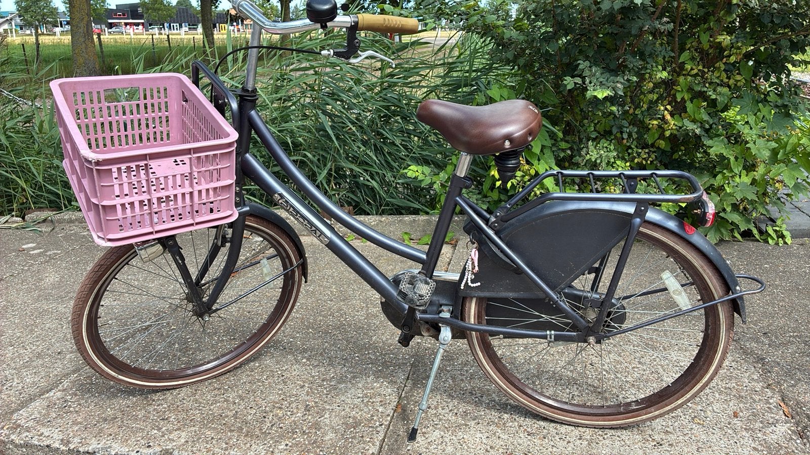 Mooie meisjes fiets voor school!, Ophalen, Terugtraprem, 22 inch, Handrem
