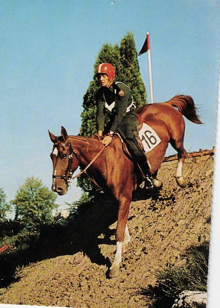 Military 498, Verzamelen, Ophalen of Verzenden, 1960 tot 1980, Ongelopen, Paard