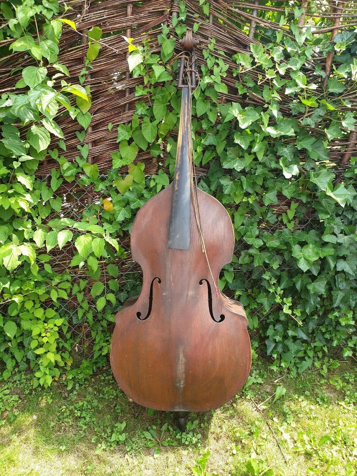 Oude kapotte Contrabas GEZOCHT, Muziek en Instrumenten, Ophalen, Gebruikt