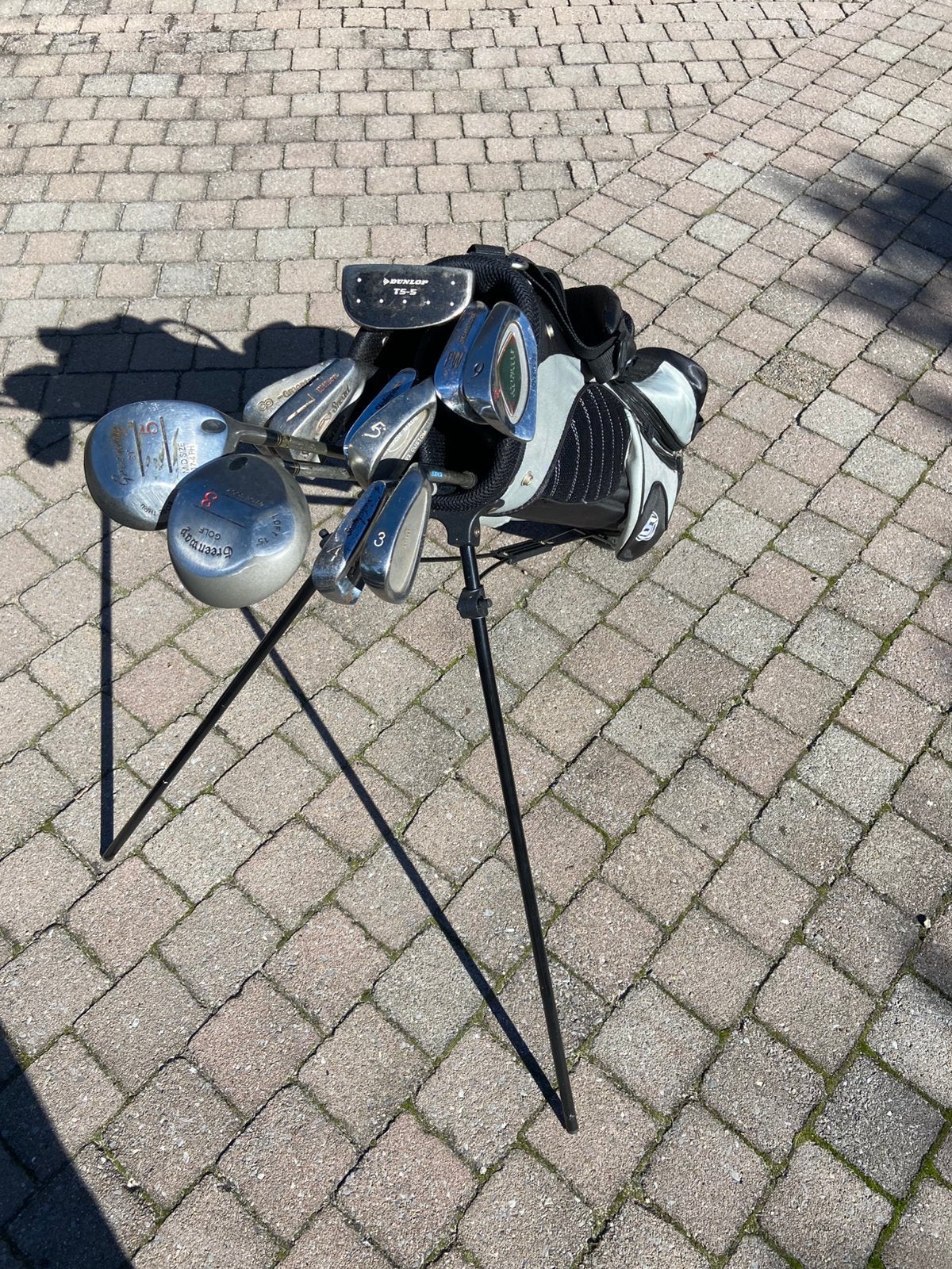 Complete Dames Golfset inclusief Lichte Skymax Standbag