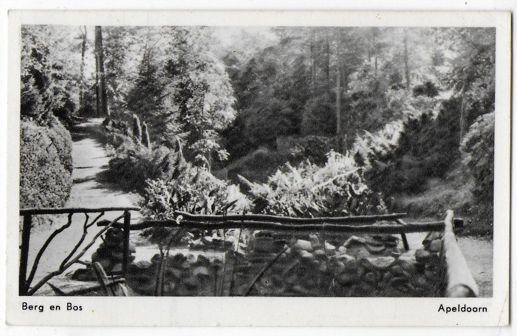 Apeldoorn Berg en Bos gelopen ansichtkaart (B2249), Ophalen of Verzenden, 1980 tot heden, Gelopen, Gelderland