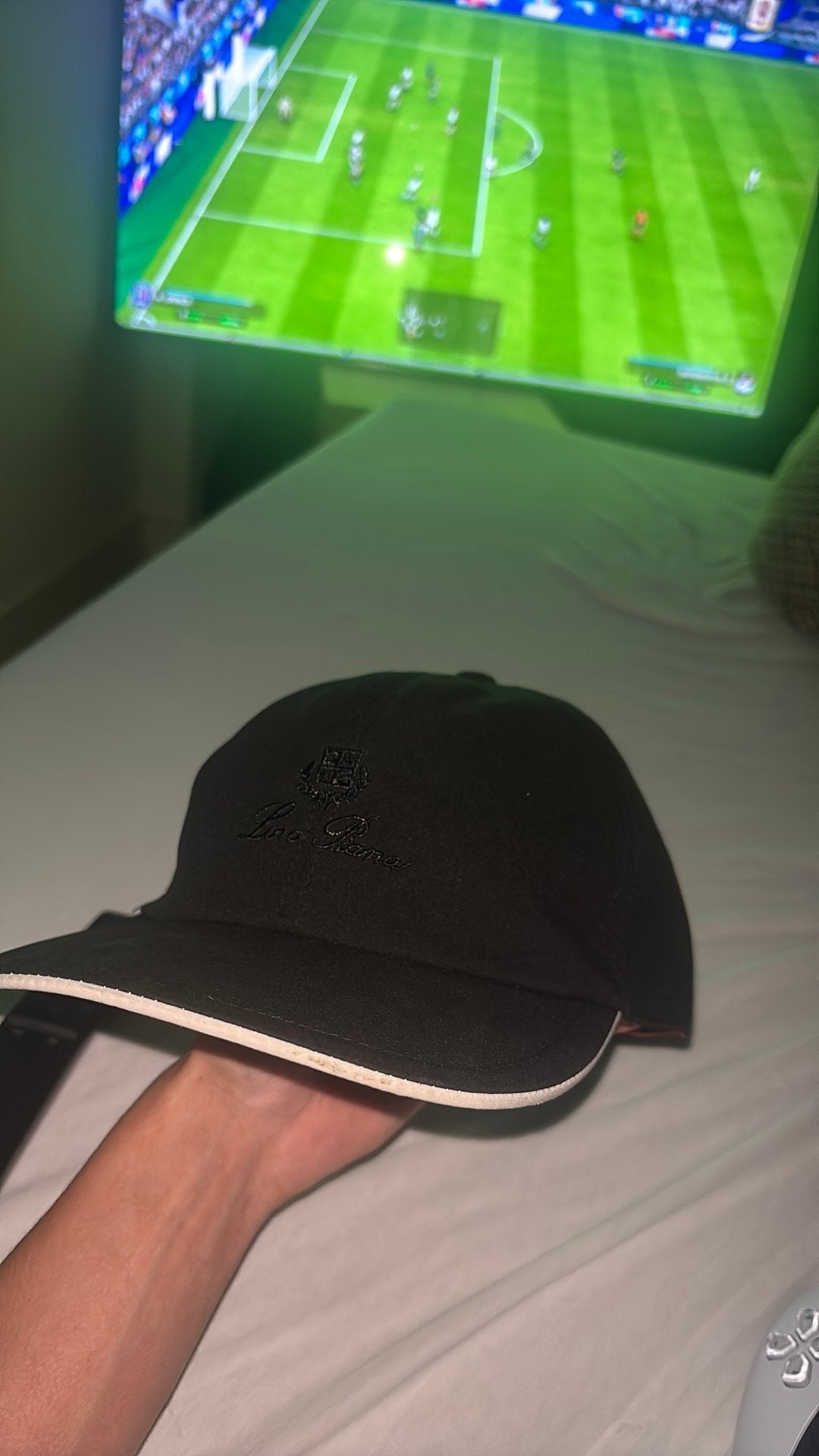 Loro piana pet, Ophalen of Verzenden, Zo goed als nieuw