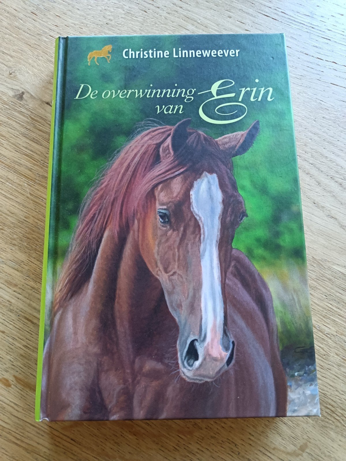 Christine Linneweever - De overwinning van Erin, Ophalen of Verzenden, Zo goed als nieuw, Christine Linneweever