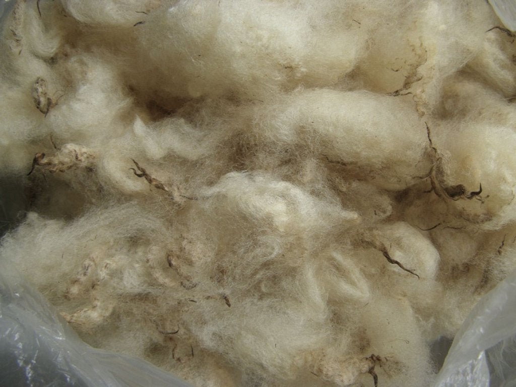 Schapenwol van aparte rassen voor spinnen en vilten spin wol, Ophalen of Verzenden, Nieuw, Spinwol