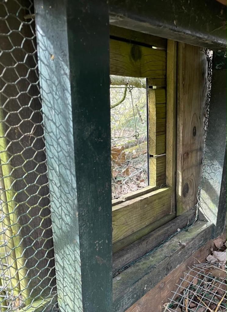 Te koop: degelijk kippenhok met nachthok, ren en uitloop, Dieren en Toebehoren, Pluimvee | Toebehoren, Ophalen, Kippenhok of Kippenren