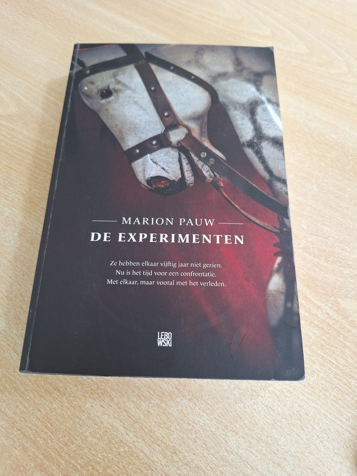 Marion Pauw - De experimenten, Ophalen of Verzenden, Zo goed als nieuw, Marion Pauw