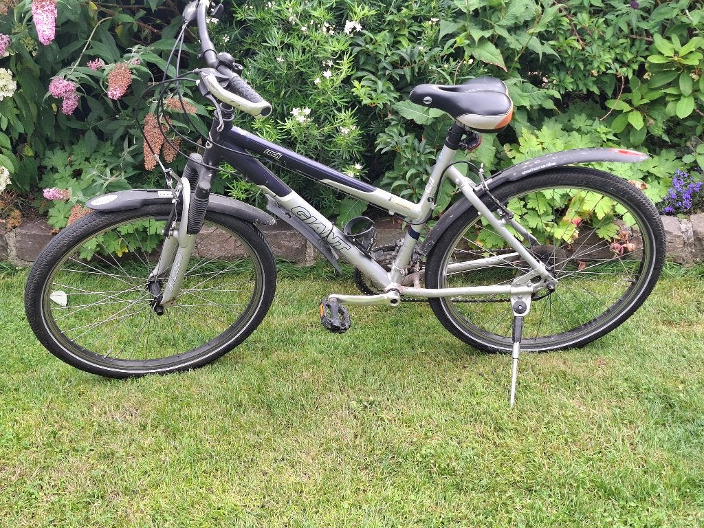 Giant Mountainbike 26 inch - Super Mooi!, Ophalen, Gebruikt, Hardtail, 45 tot 49 cm