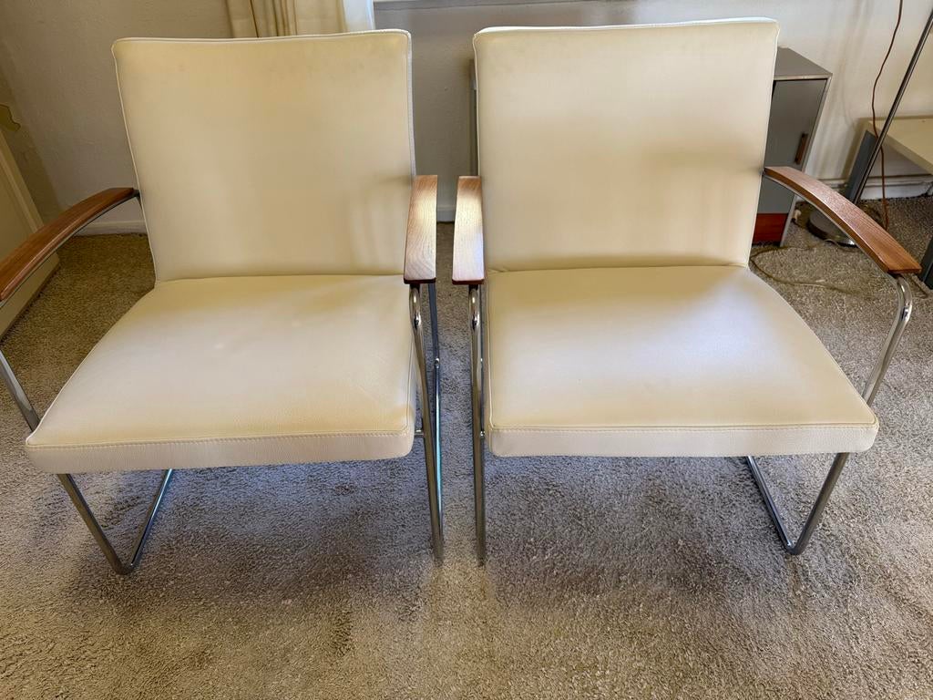 Leolux Set van 2 moderne eetkamerstoelen met armleuningen, Ophalen, Twee, Overige kleuren, Zo goed als nieuw