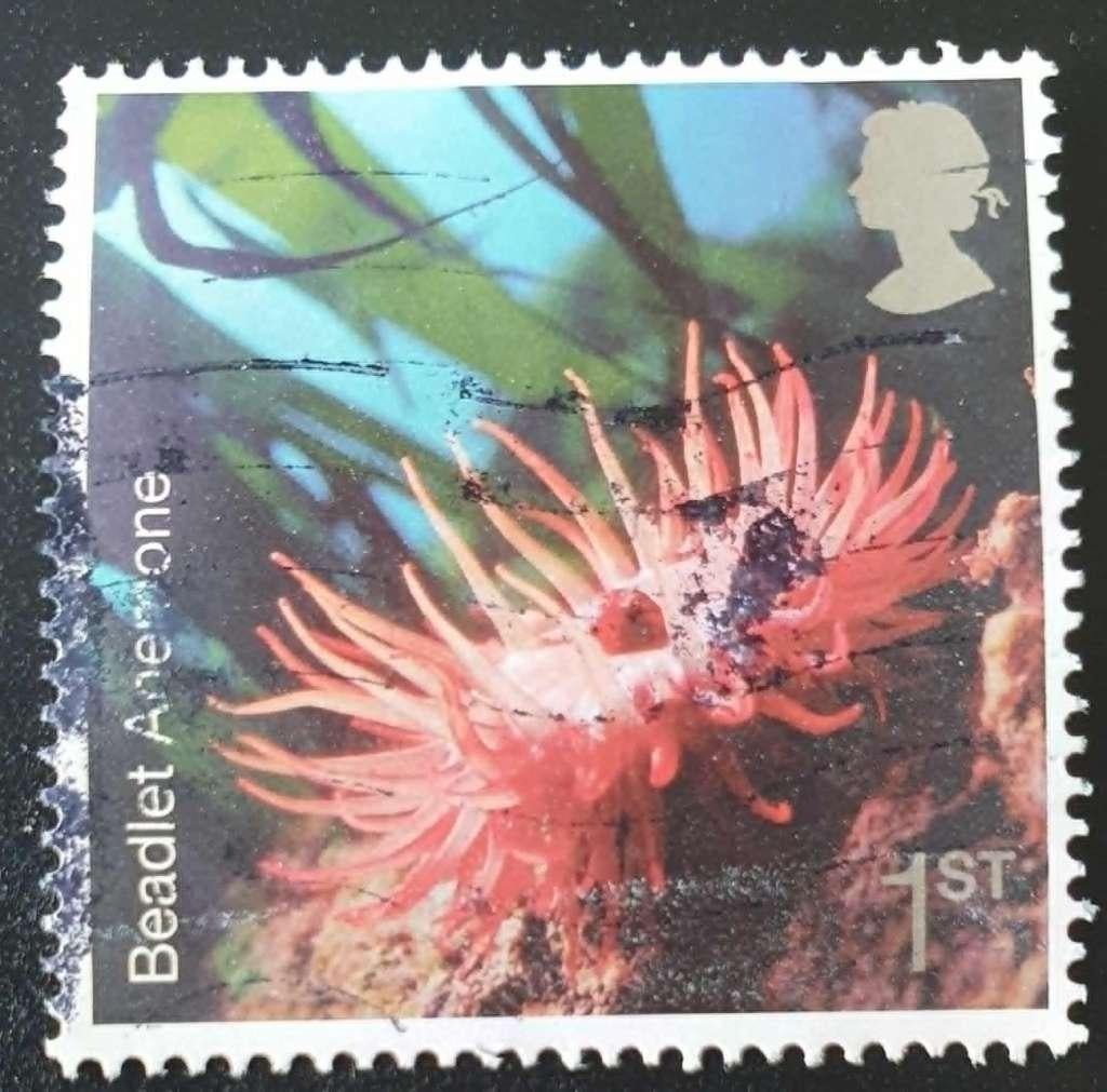 128-26 Engeland / Beadlet Anemone, Verzenden, Gestempeld