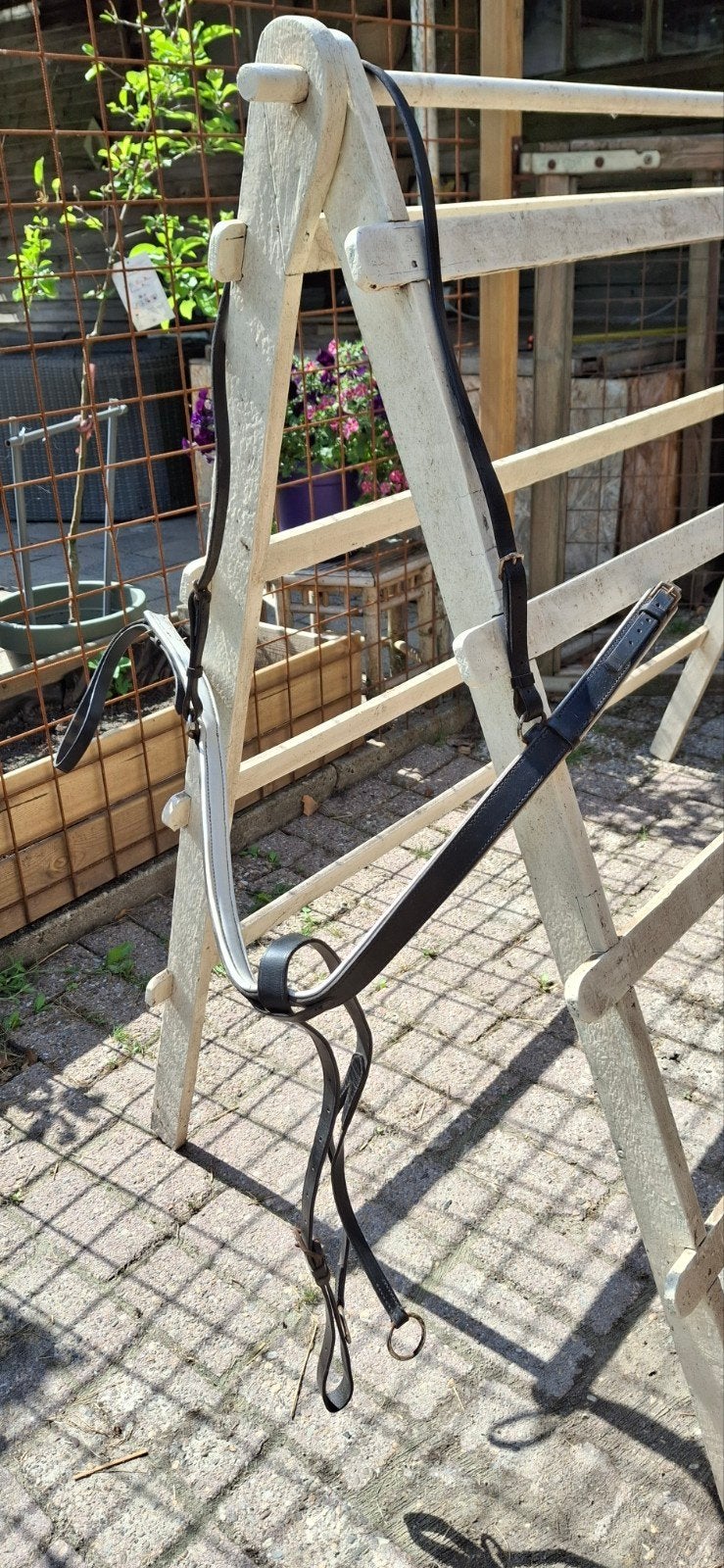 Martingaal met borststuk, Dieren en Toebehoren, Ophalen of Verzenden