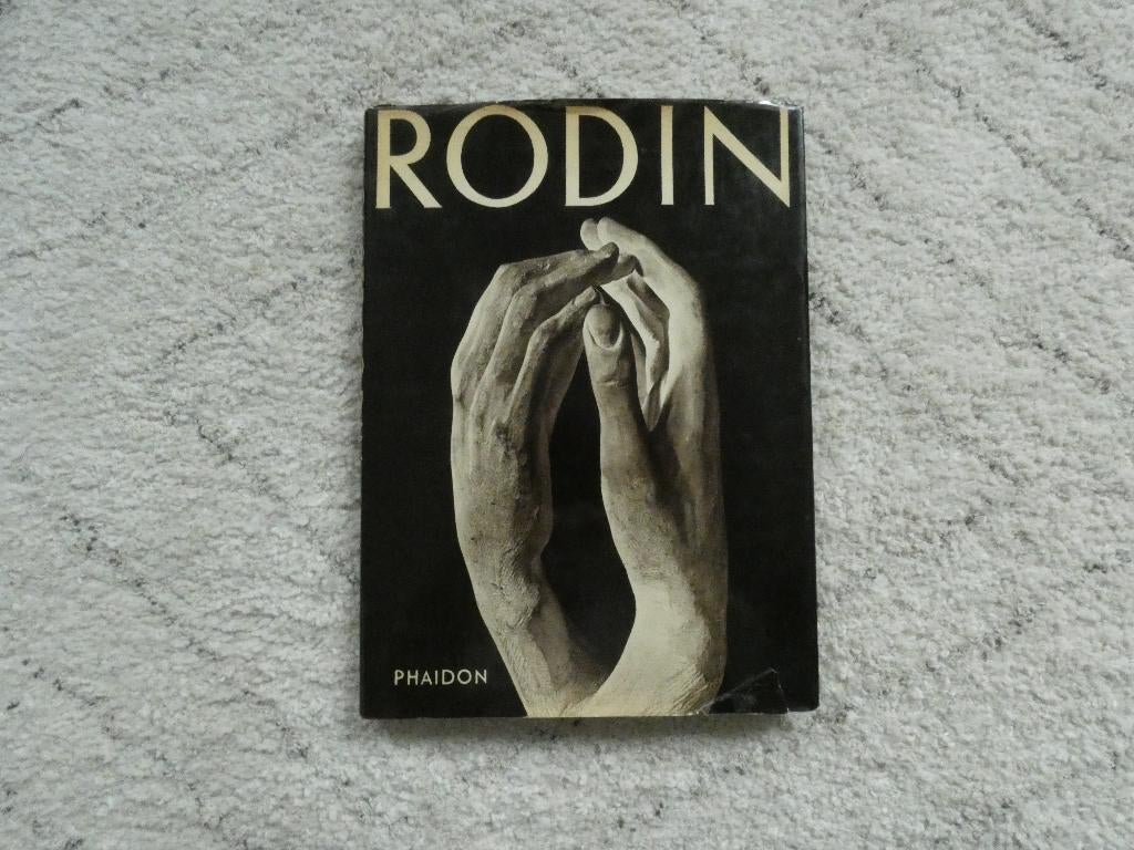 Rodin, Ophalen of Verzenden, Gelezen