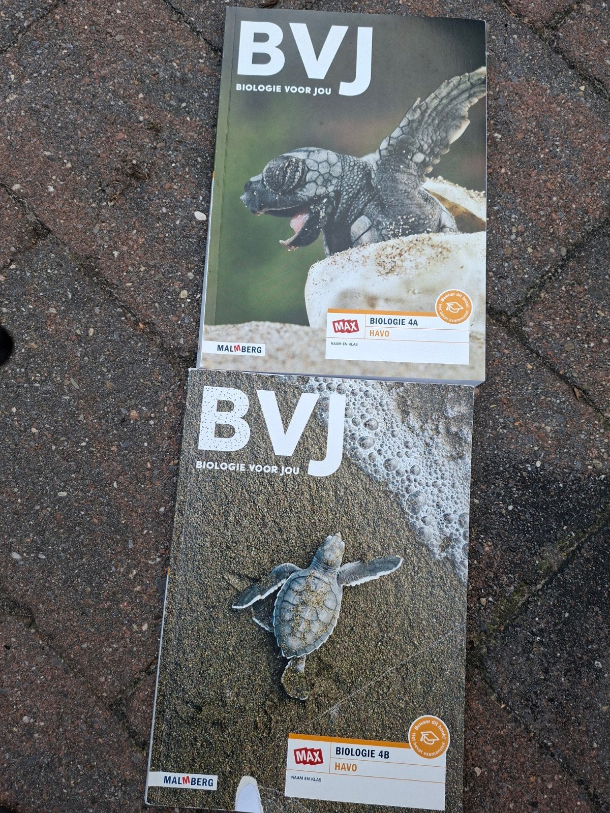 Biologie voor Jou (BVJ) 4A en 4B HAVO Malmberg, Verzenden, Malmberg, Biologie, HAVO