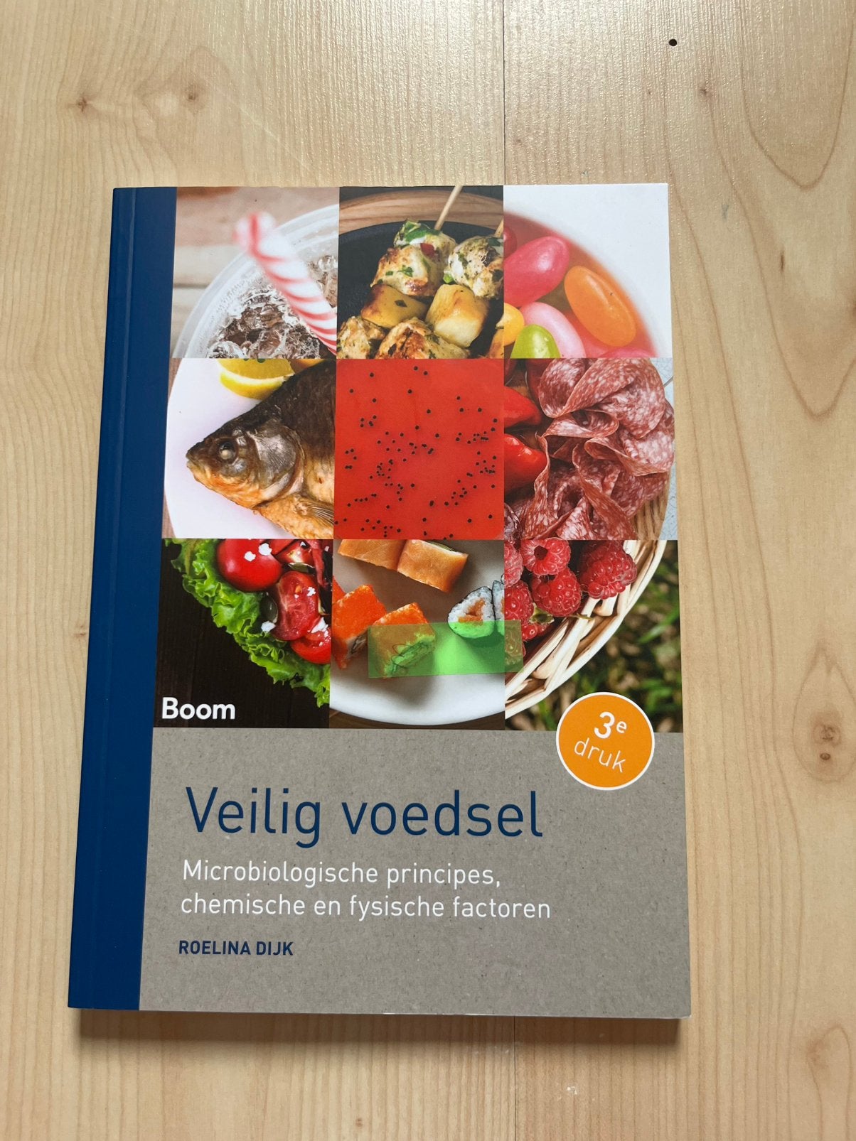 Roelina Dijk - Veilig voedsel, Ophalen of Verzenden, Zo goed als nieuw, Roelina Dijk