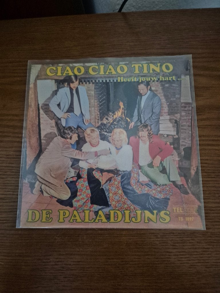 De Paladijns, Cd's en Dvd's, Vinyl | Nederlandstalig, Ophalen of Verzenden, Zo goed als nieuw, 7 inch, Levenslied of Smartlap