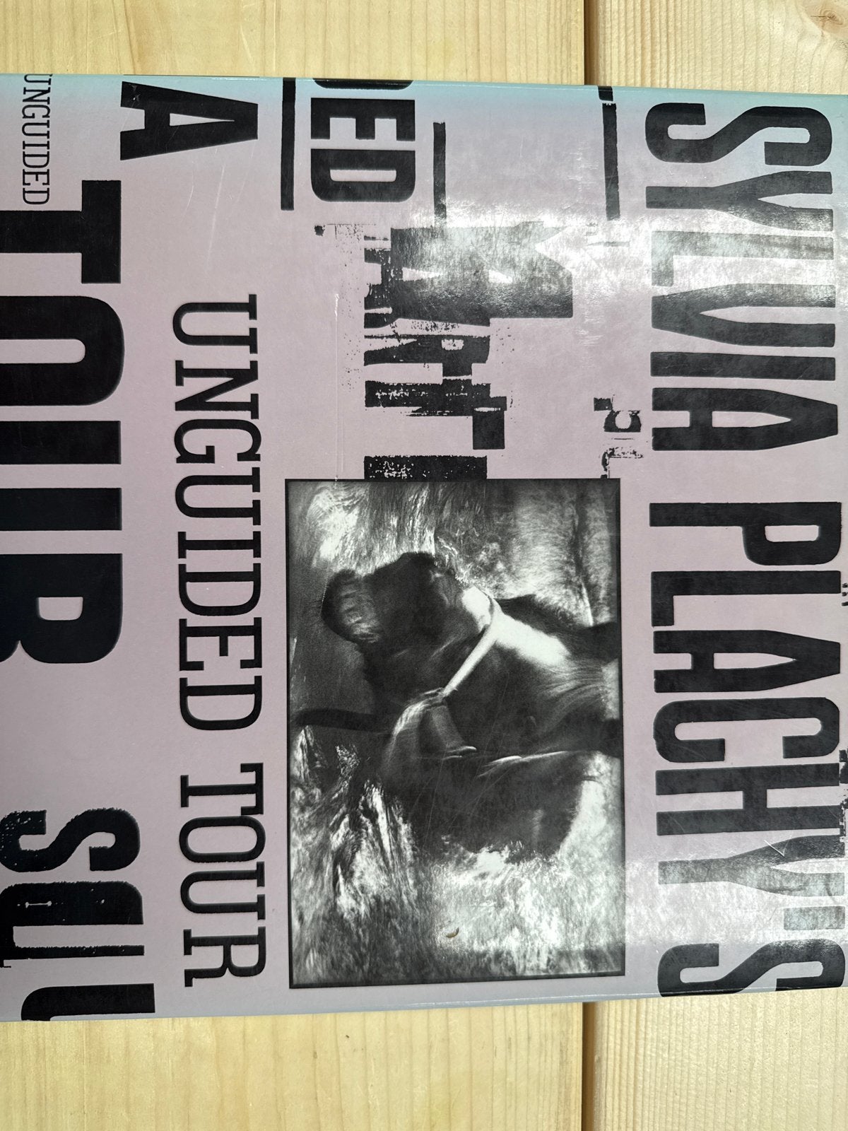 Sylvia Plachy's Unguided Tour - Fotoboek, Ophalen of Verzenden, Gelezen, Fotografen
