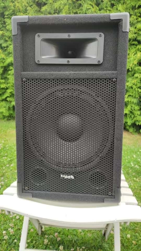 Ibiza Star 10B Speakers, Overige merken, Overige typen, Ophalen of Verzenden, Zo goed als nieuw
