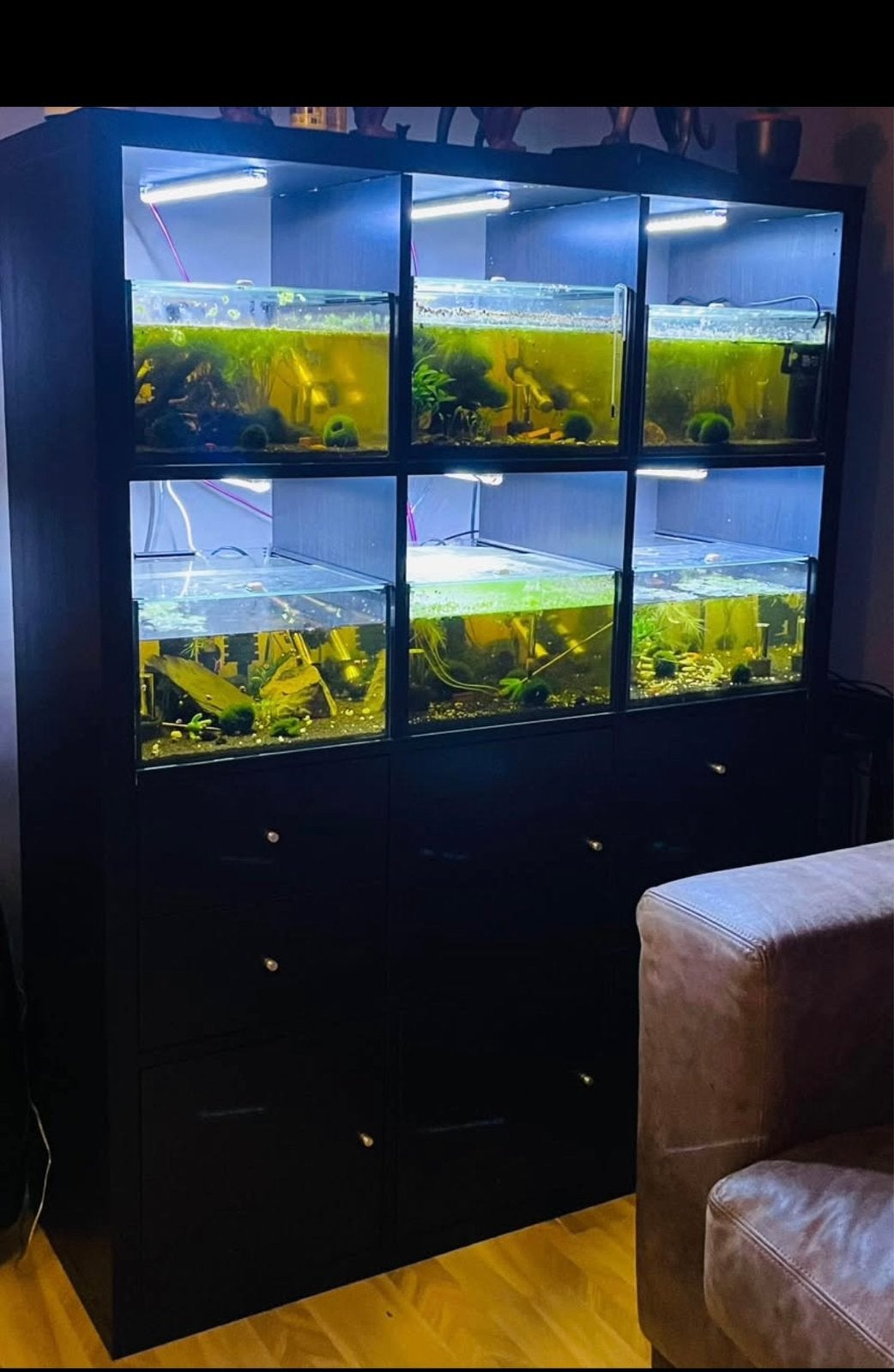 Kallaxkast met aquariums, Dieren en Toebehoren, Ophalen, Gevuld zeewateraquarium, Gebruikt, Overige merken