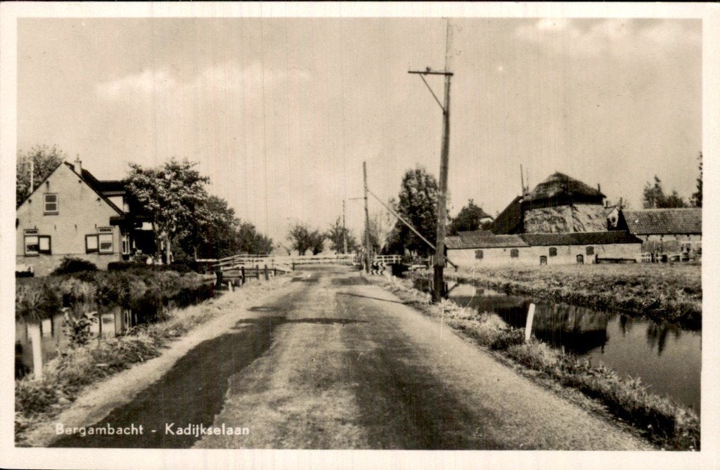 Bergambacht - Kadijkselaan - Straatzicht, Ophalen of Verzenden, 1940 tot 1960, Ongelopen, Zuid-Holland