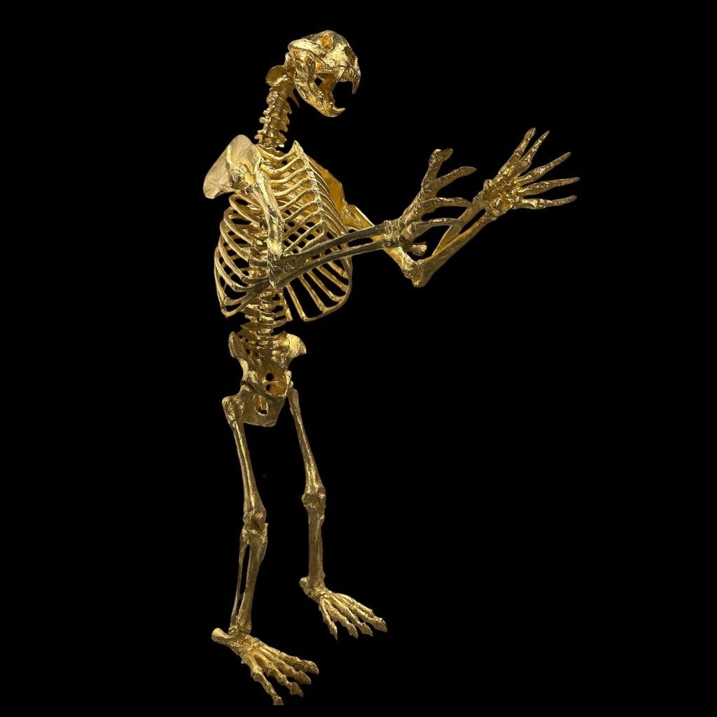 Unique Short-Faced Bear Skeleton Sculpture 24kt. gold, Van de kunstenaar zelf, Goud, 320 cm, Beeld