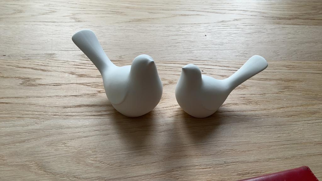 Mallen vogeltjes, Overige typen, Dieren, Ophalen of Verzenden, Zo goed als nieuw