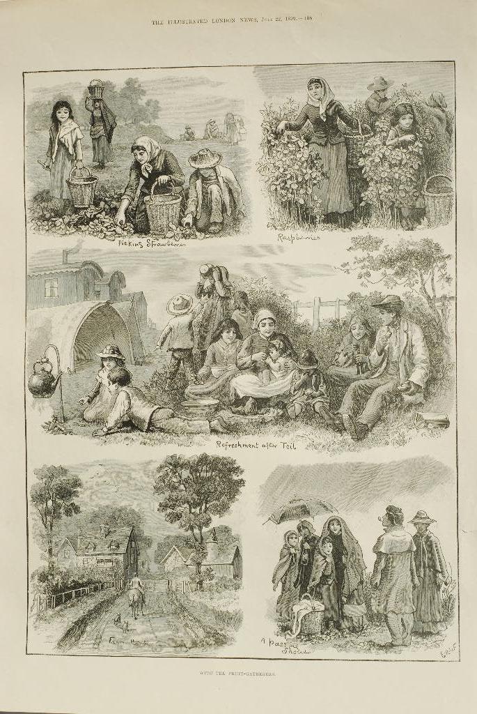Met de fruittelers - Antieke illustratie 19e eeuw, Verzenden, Voor 1940, Zo goed als nieuw, Overige onderwerpen