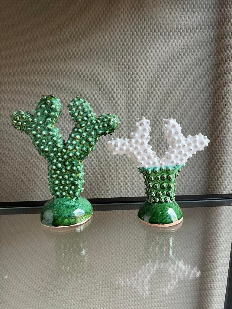 Cactussen setprijs, Overige materialen, Wit, Nieuw, Ophalen of Verzenden