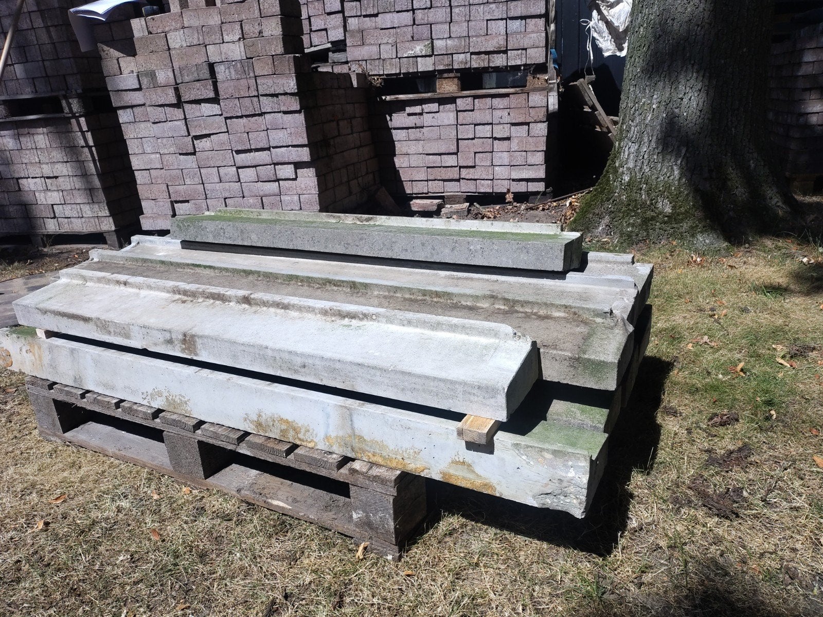 Betonnen vensterbanken / dorpels in diverse afmetingen, Doe-het-zelf en Verbouw, Glas en Ramen, Ophalen, Gebruikt, Minder dan 80 cm