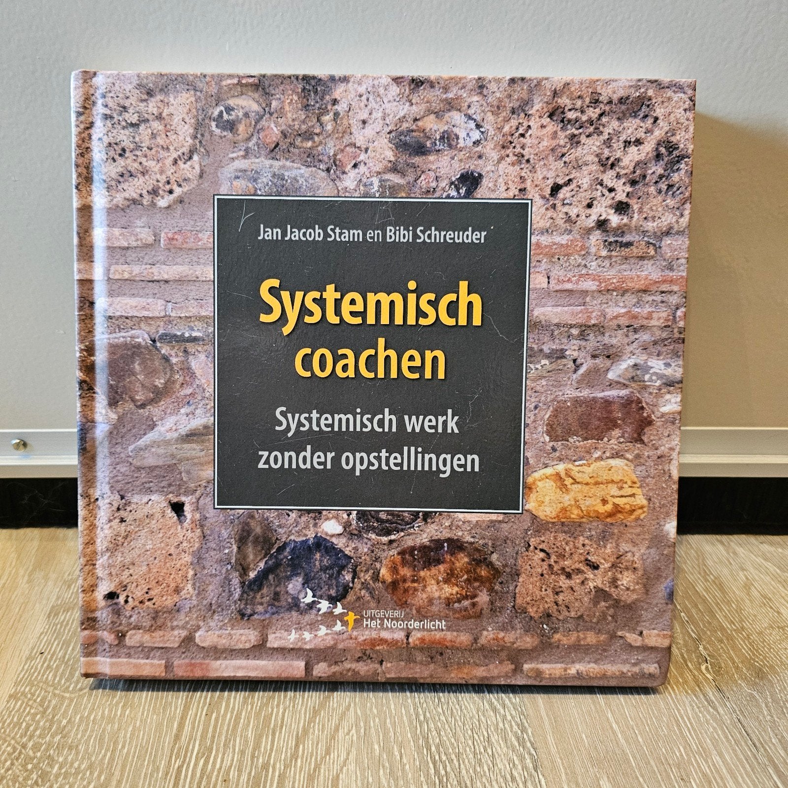 Systemisch coachen: Systemisch werk zonder opstellingen, Ophalen of Verzenden, Zo goed als nieuw, Jan Jacob Stam en Bibi Schreuder