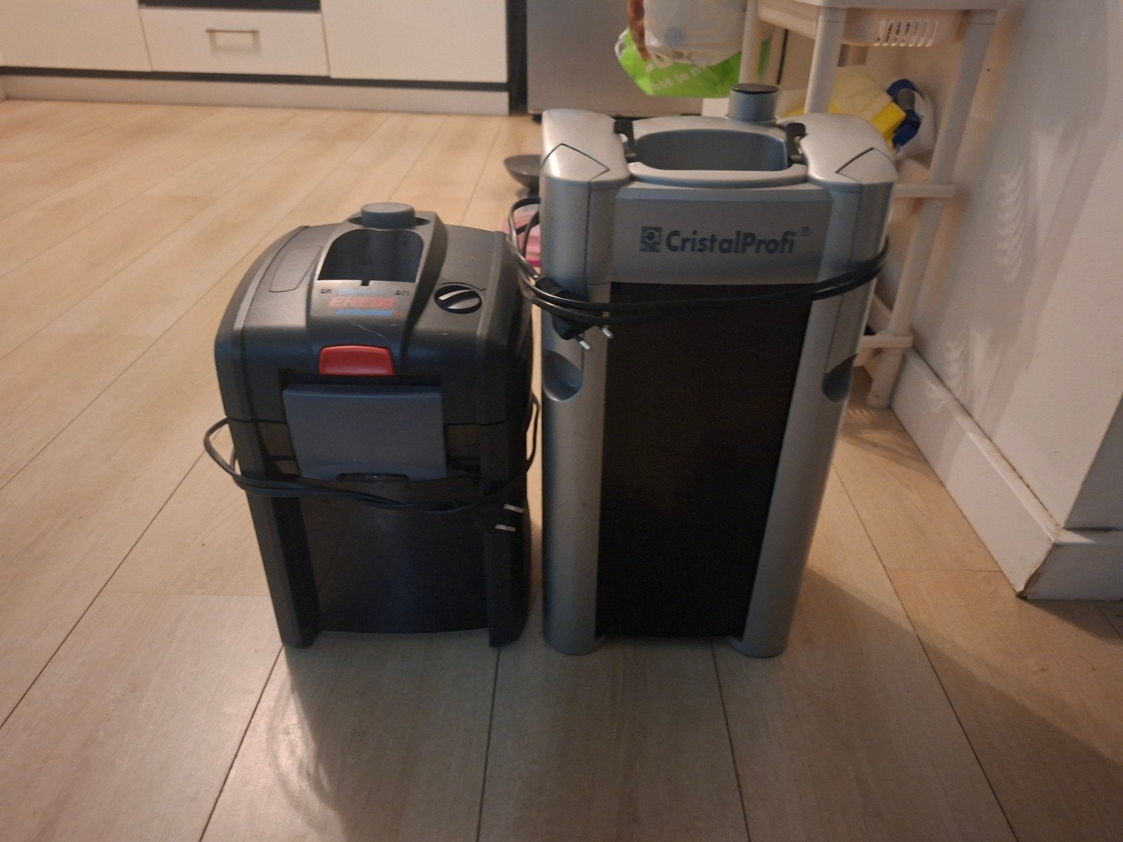 twee filters Eheim Professional 4 en JBL CristalProfi  (zond, Vis