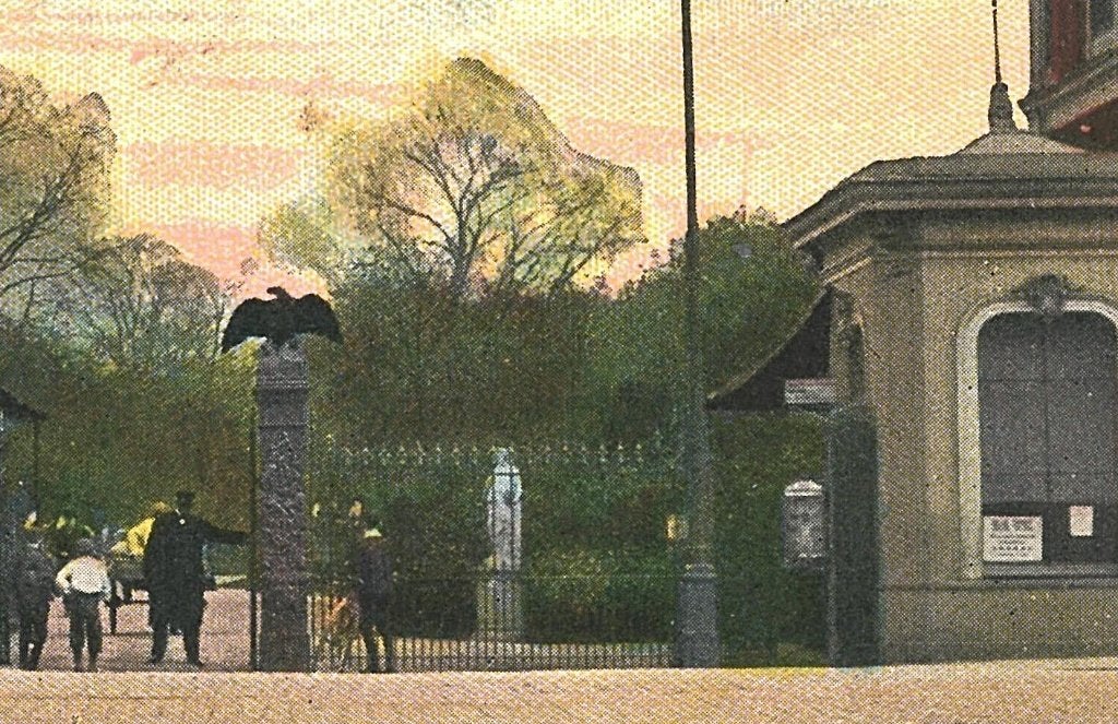 988536 Amsterdam Artis Leuke oude kaart Onbeschreven, Ophalen of Verzenden, Voor 1920, Ongelopen, Zuid-Holland